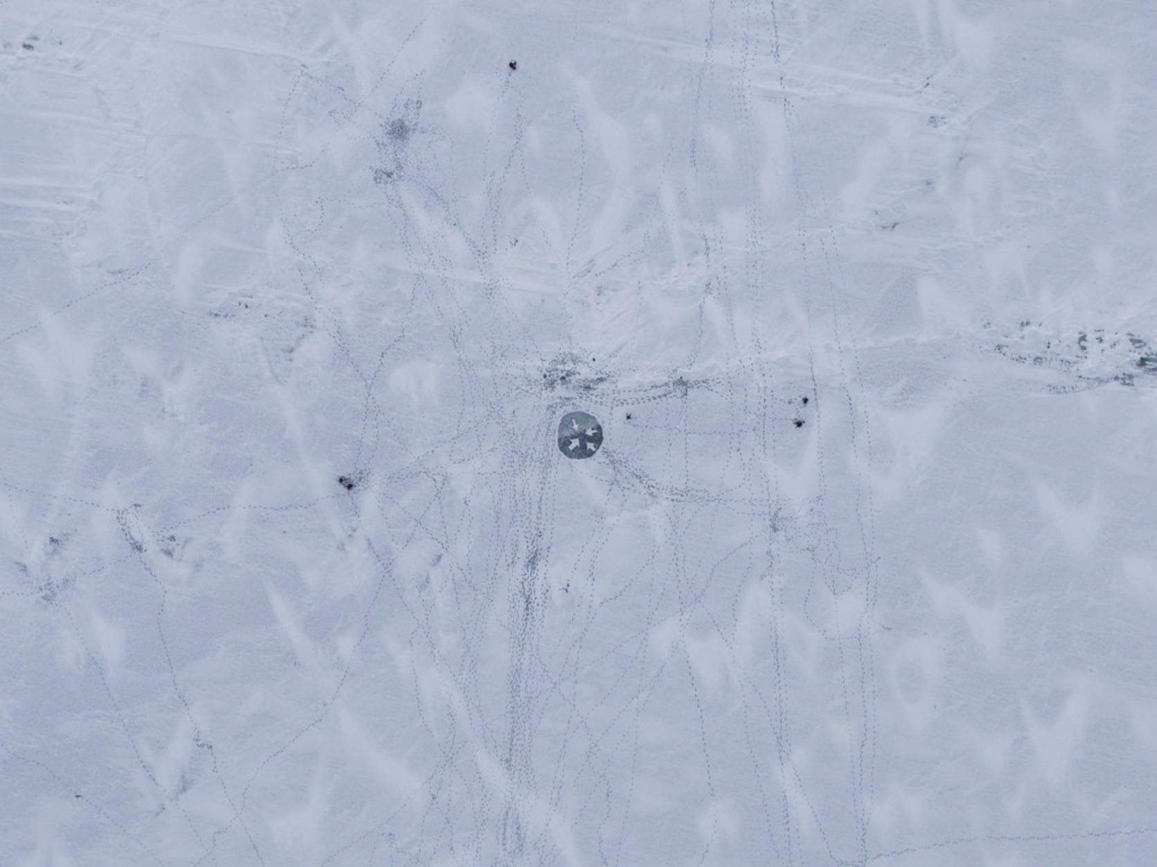 Polar Direction